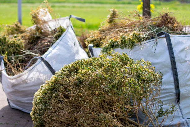 Basement Cleanout Services in Chillum, MD